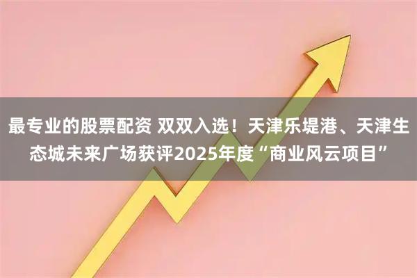 最专业的股票配资 双双入选！天津乐堤港、天津生态城未来广场获评2025年度“商业风云项目”