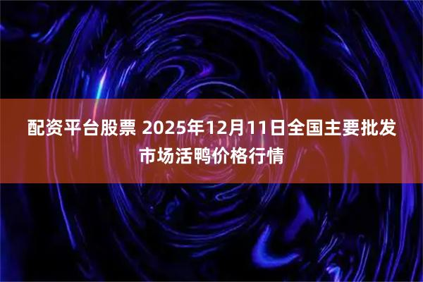配资平台股票 2025年12月11日全国主要批发市场活鸭价格行情