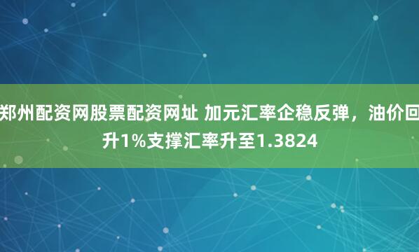 郑州配资网股票配资网址 加元汇率企稳反弹，油价回升1%支撑汇率升至1.3824