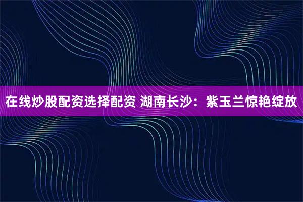 在线炒股配资选择配资 湖南长沙：紫玉兰惊艳绽放